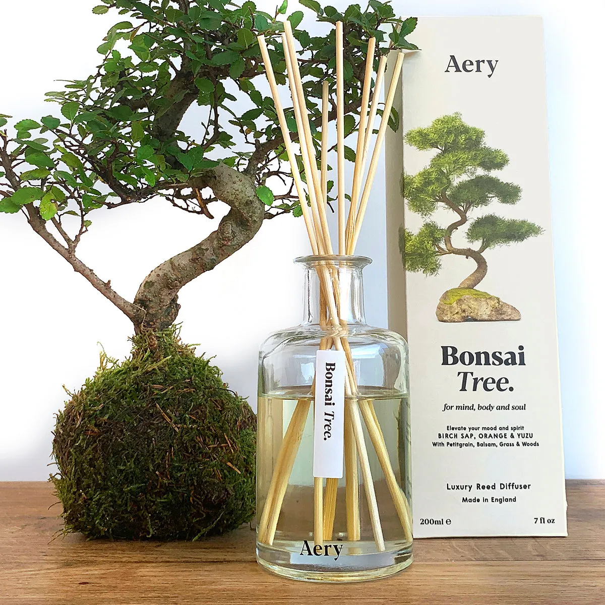 Aery Living Botanical 200ml Reed Diffuser - Bonsai Tree