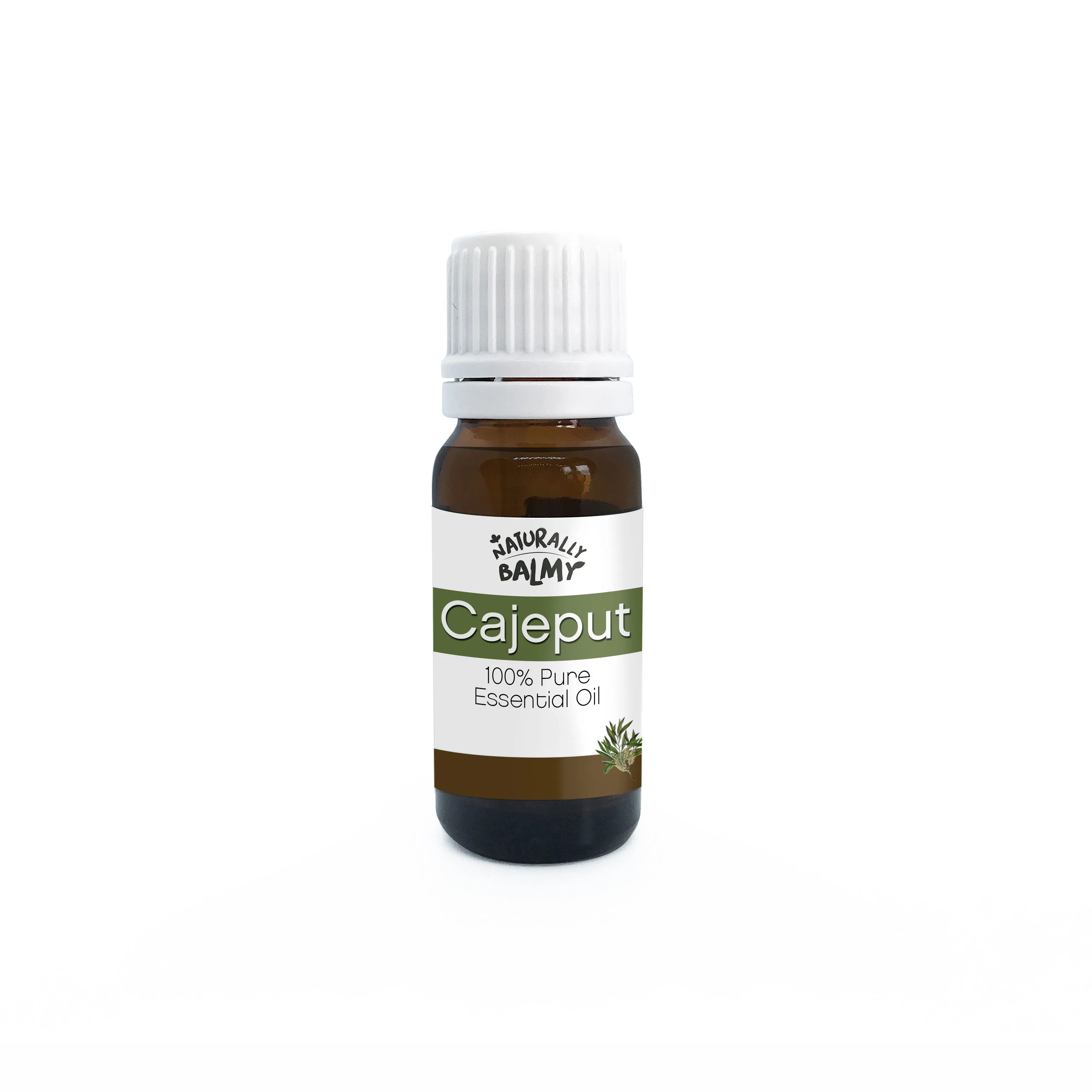 Cajeput Essential Oil