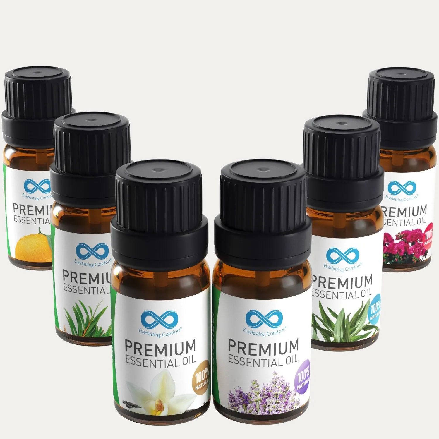 CalmMist: Aromatherapy Oil (6 pack)