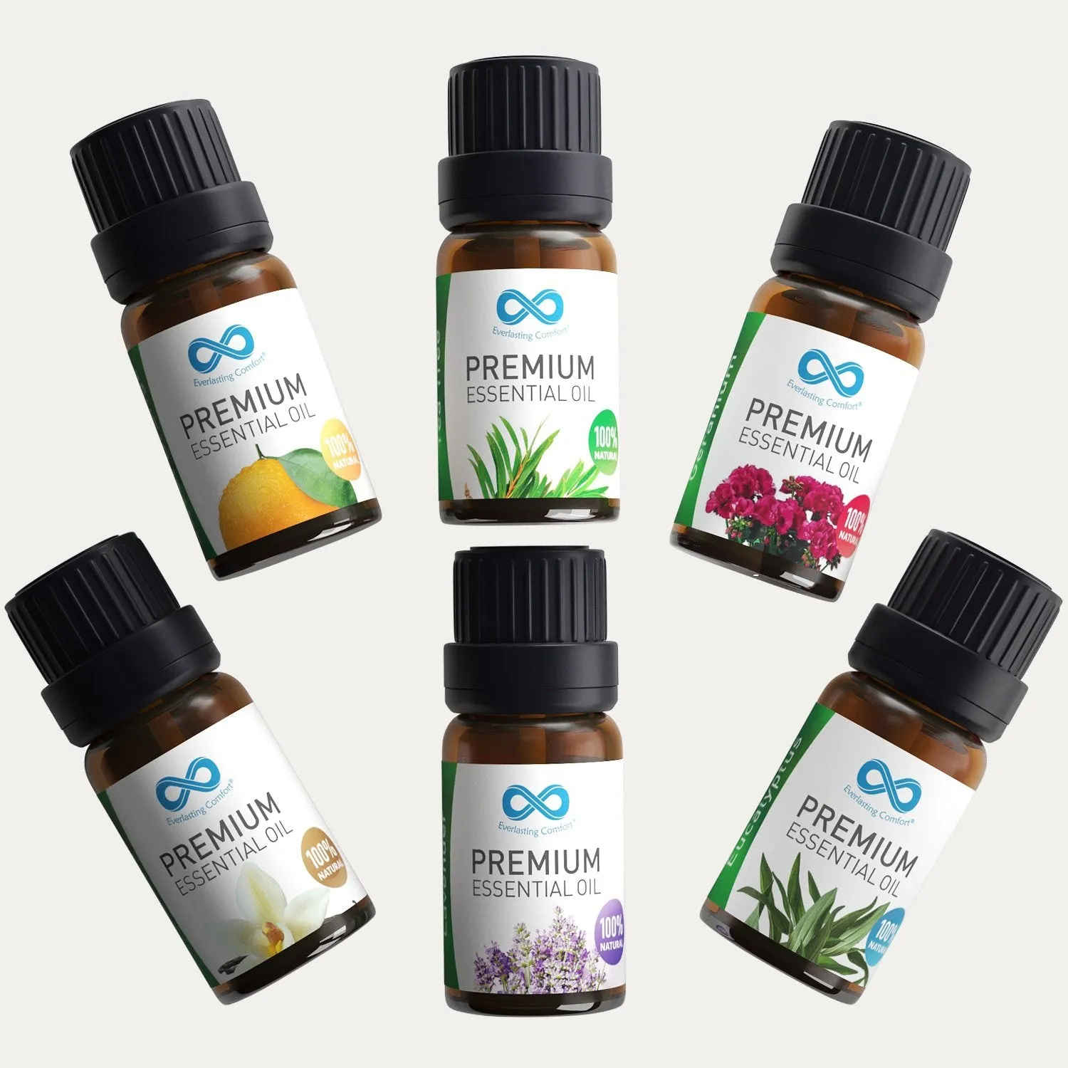 CalmMist: Aromatherapy Oil (6 pack)