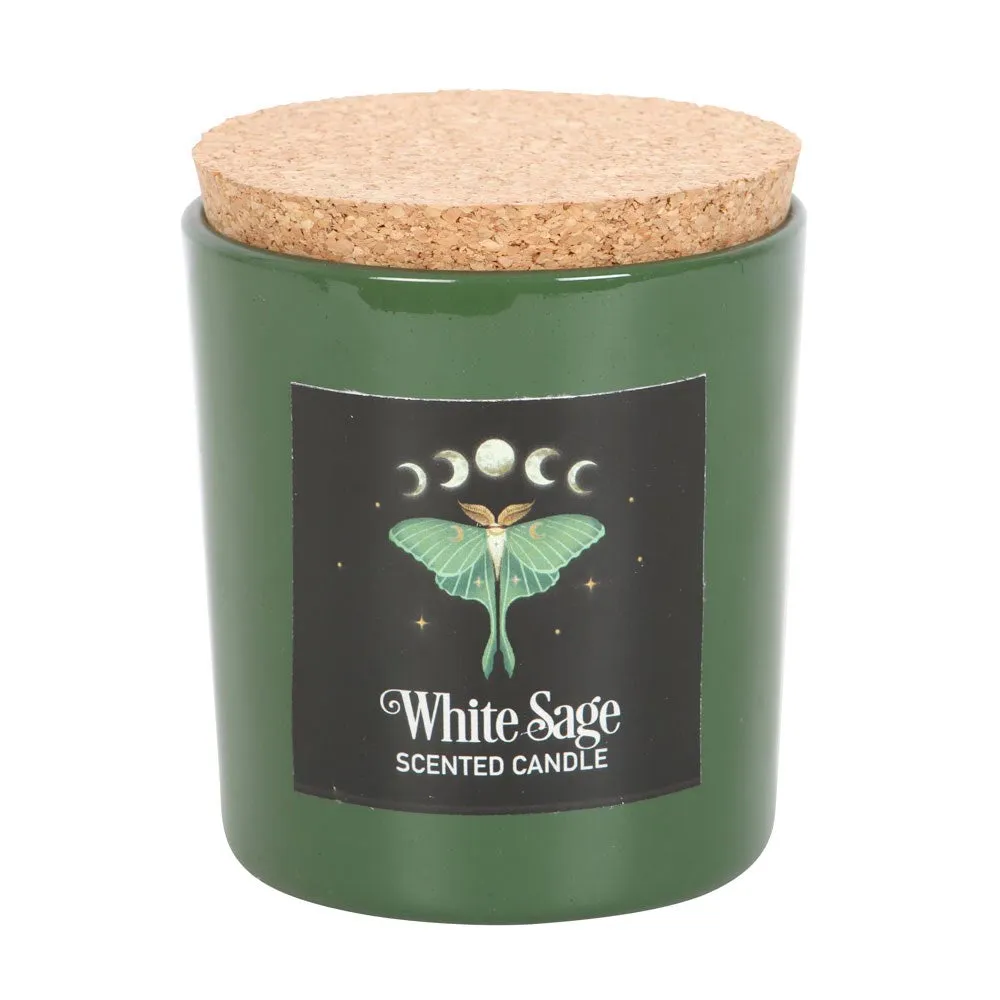 Candle - Dark Forest Luna Moth - White Sage