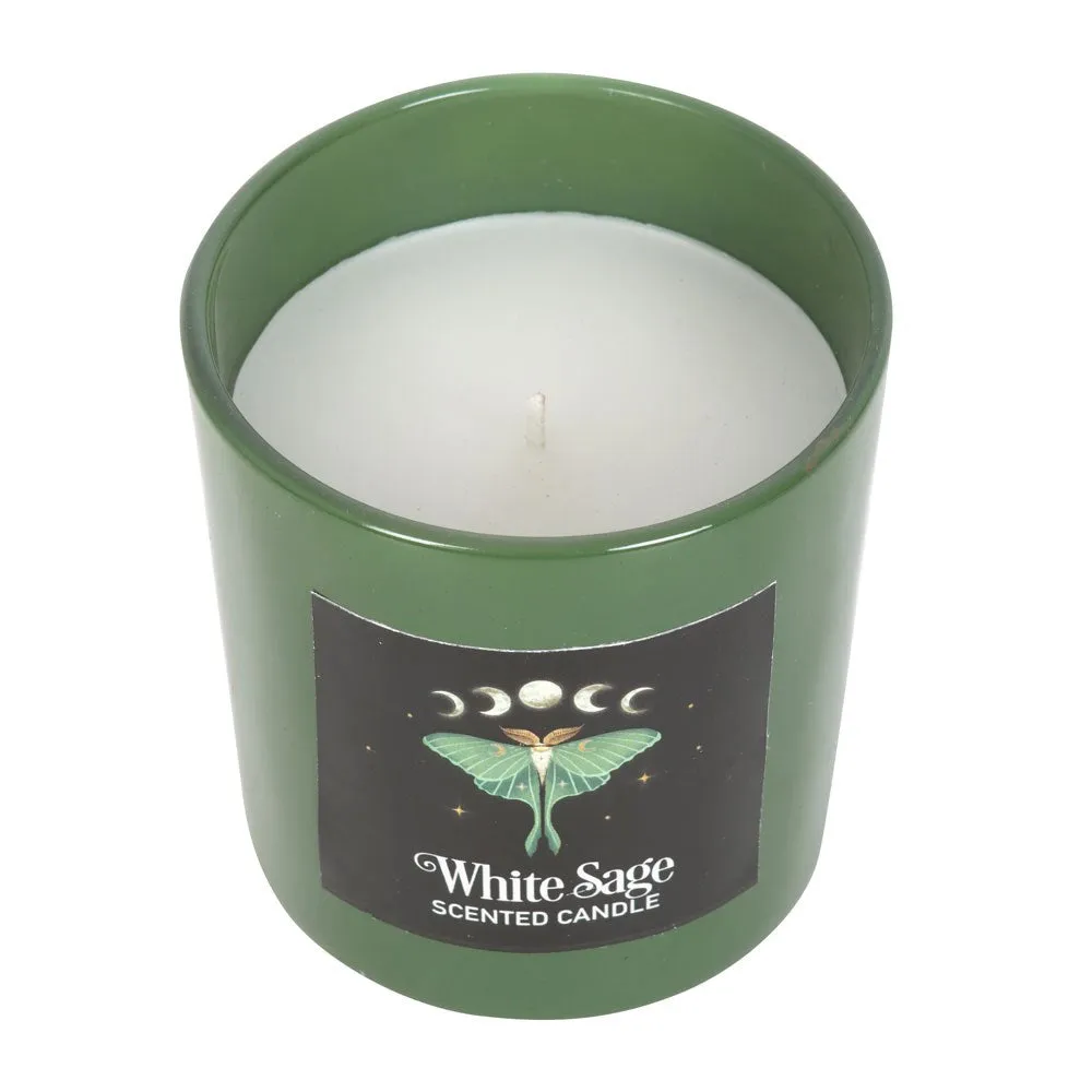 Candle - Dark Forest Luna Moth - White Sage