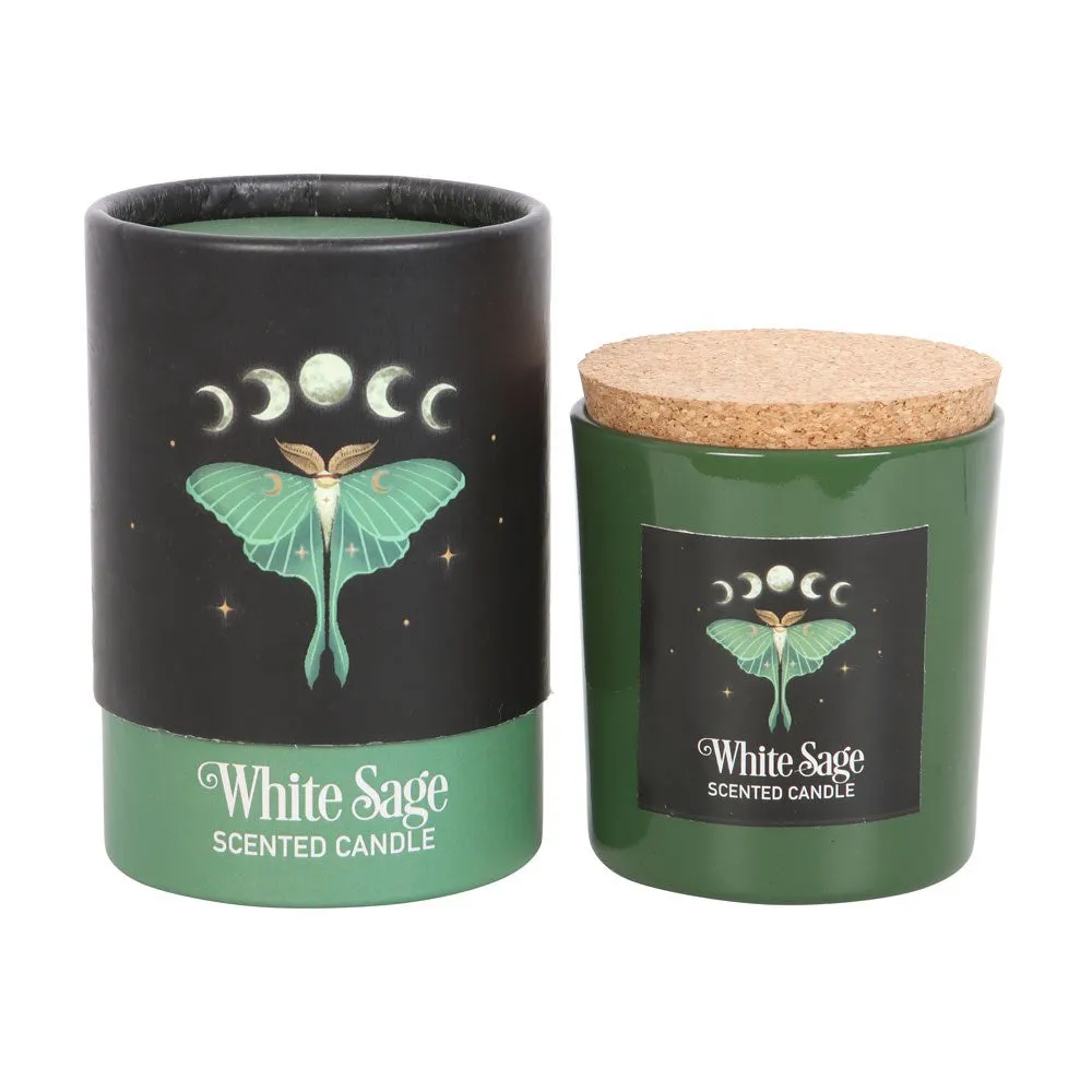 Candle - Dark Forest Luna Moth - White Sage