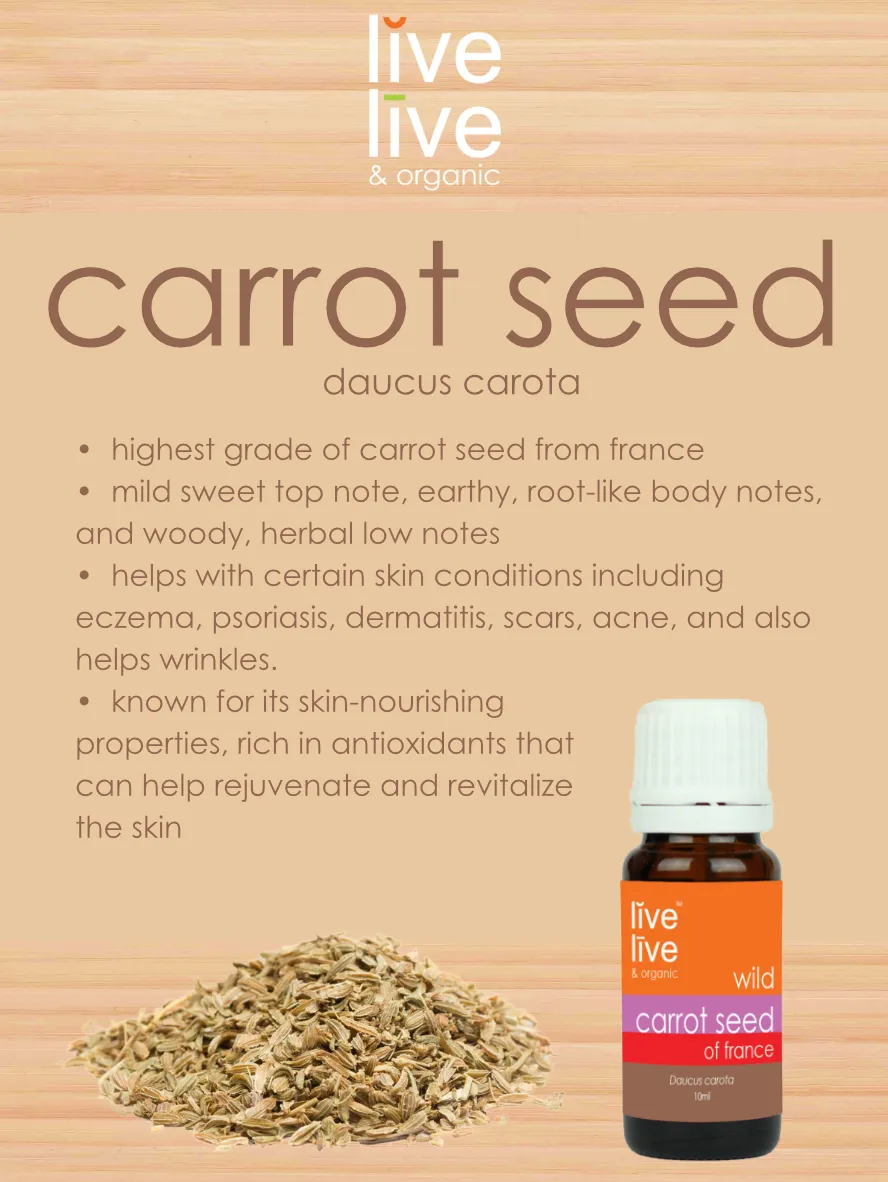 carrot seed of france essential oil, daucus carota, 10ml, live live & organic