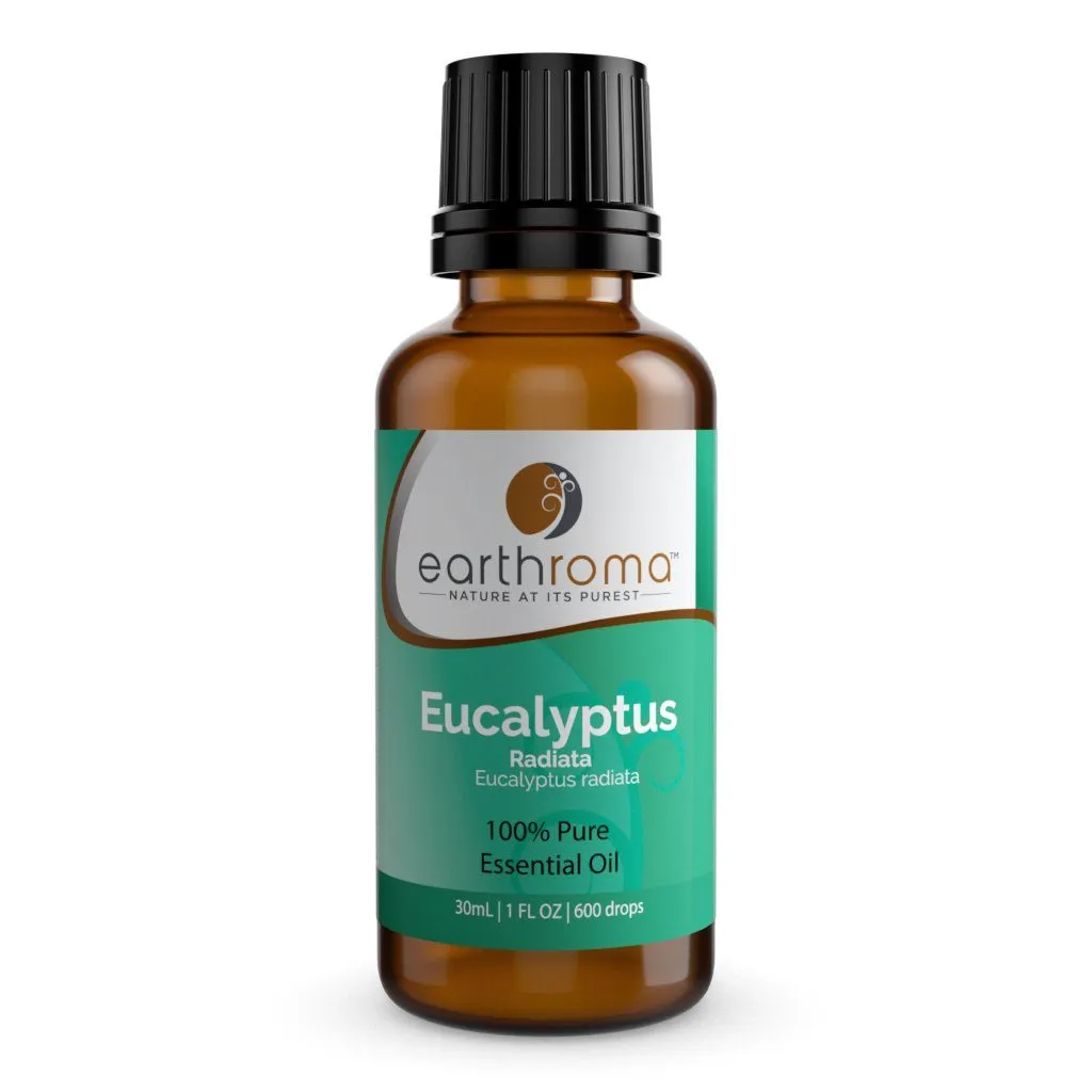 Eucalyptus Radiata Essential Oil