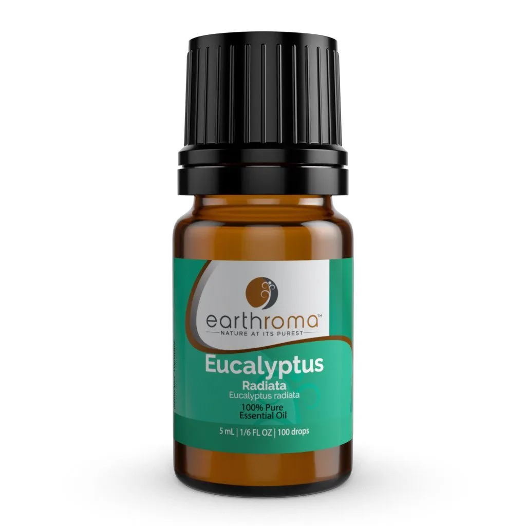 Eucalyptus Radiata Essential Oil