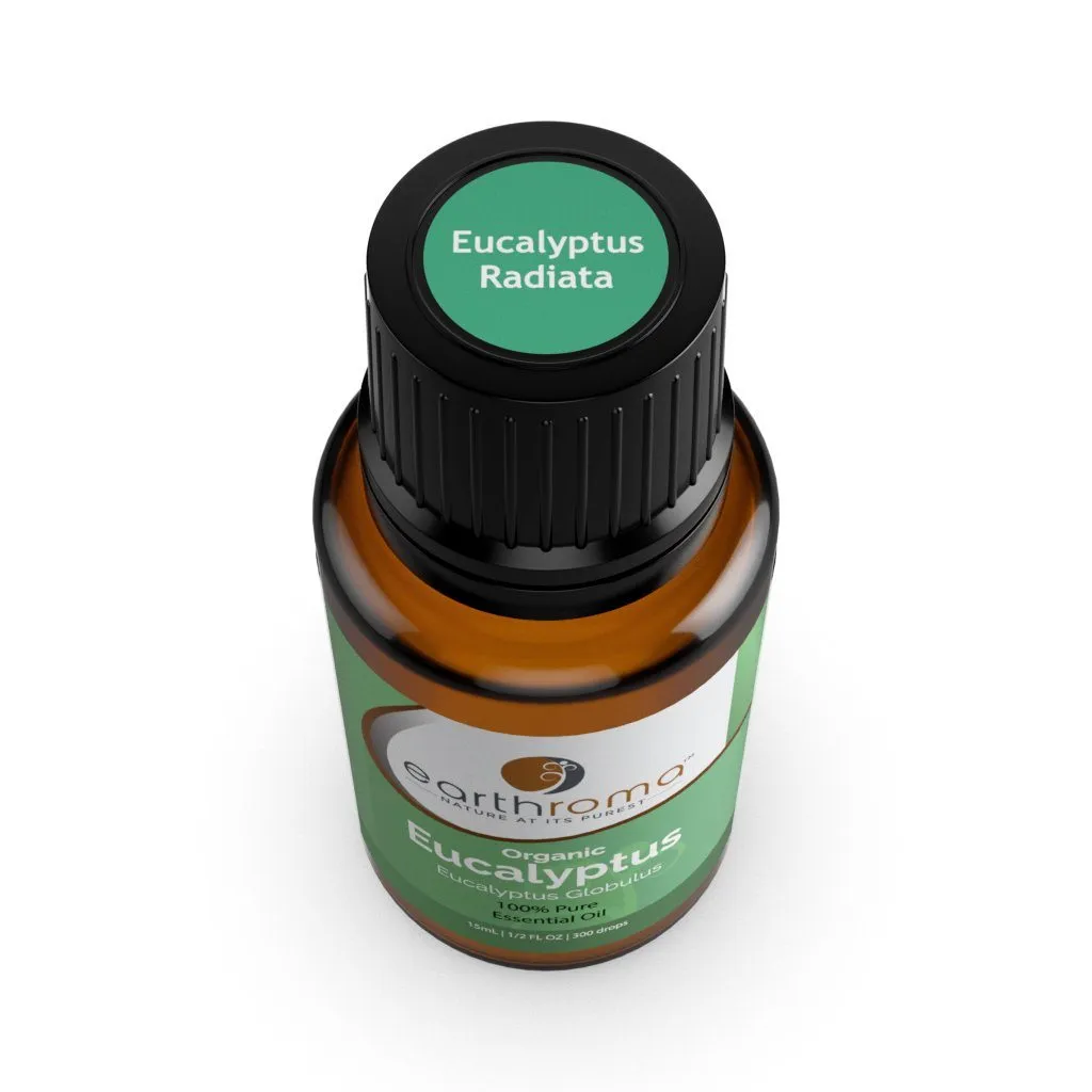 Eucalyptus Radiata Essential Oil