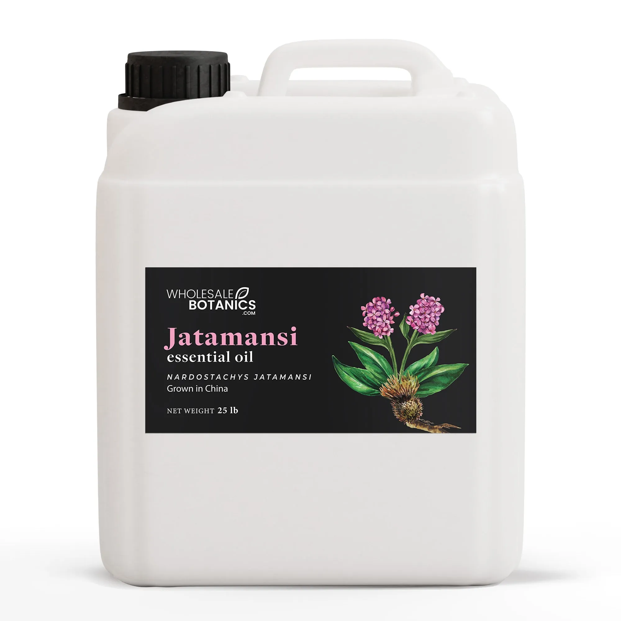 Jatamansi Essential Oil