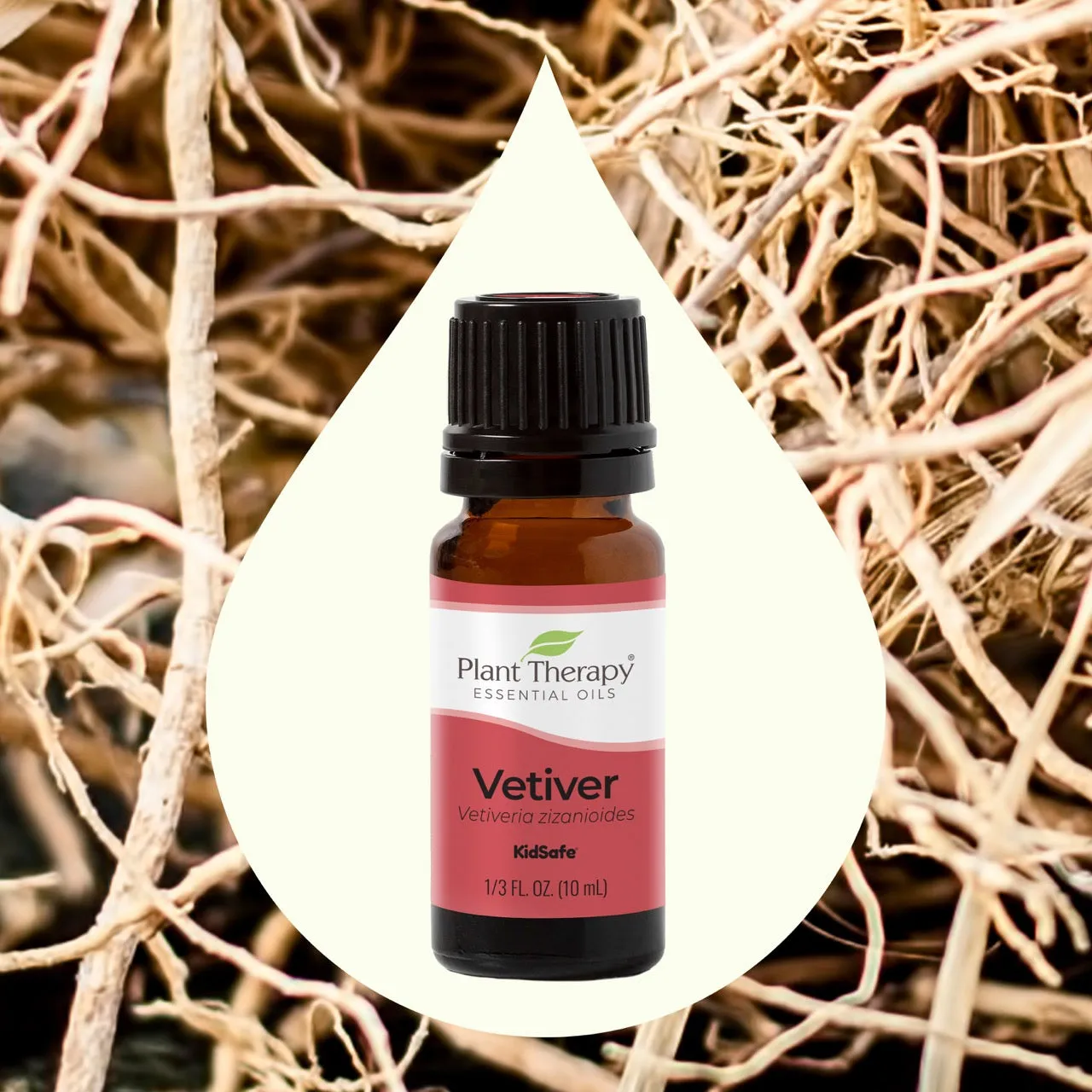 Vetiver Essential Oil